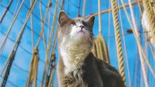 Superstitions & the Supernatural on the Seas | Time With Tempest
