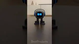 I ASKED the EMO ROBOT What the FOX Says!