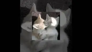 kamisama hajimemashita ( speed up )