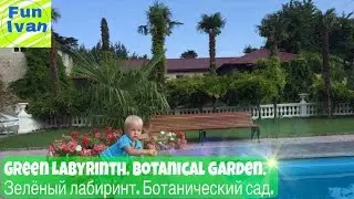 Green Labyrinth. Botanical garden.Зелёный Лабиринт