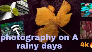 photography on A rainy Day | Creative Monsoon Photo Ideas