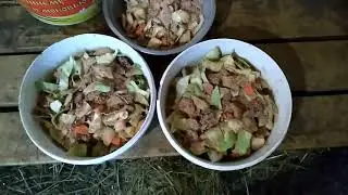 Козы, кормление, наш опыт.