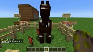 Entity Tags: Horse Edition