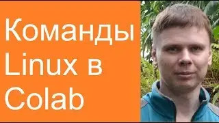Команды Linux в Colab | Нейросети в Google Colab