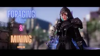 GREAT FORAGING & MINING SPOT! LOST ARK