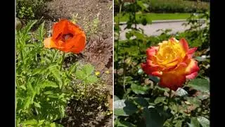 ФОТОДЕНЬ 8  5 июля 2020 г ПРОДОЛЖЕНИЕ