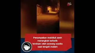 #penampakan