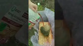 Как сделать 