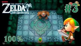 Бутыльный Грот - The Legend of Zelda: Link's Awakening #3 [Режим Героя | без смертей | 100%]