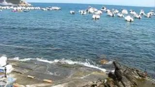 Chianalea - Scilla - itinerari italiani - NaturaMediterraneo