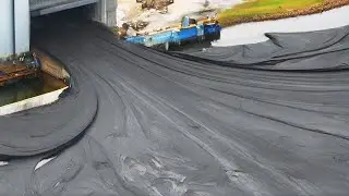 Lo Que Australia Hizo Con Su Presa Conmocionó Al Mundo