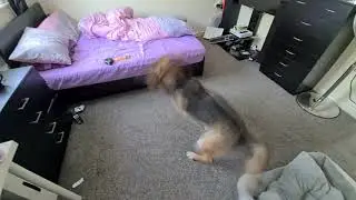 Spinny Spin