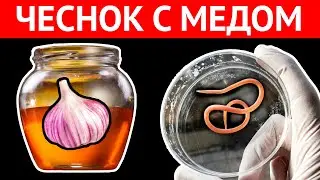 Принимала смесь ЧЕСНОКА С МЕДОМ НАТОЩАК, вот что вышло через 7 дней. Я ШОКИРОВАНА!