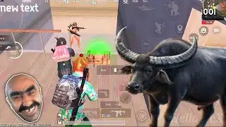 PUBG BGMI Stop laughing and show 😅😅 Funny Gameplay #04
