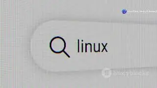 ⁣A Beginner's Guide to Linux File Systems