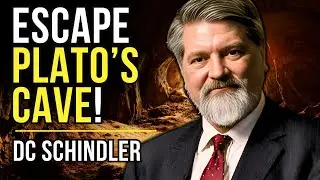 DC Schindler: Did PLATO warn us about THE INTERNET in 375 BC?