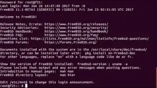 Форматирование USB диска на FreeBSD