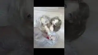 4 августа 2023 г.
