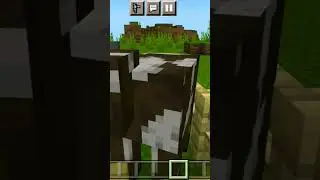 moo #minecraft #shorts