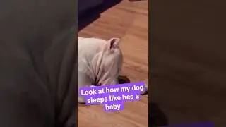 he thinks he's a baby