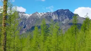 Прогулка выходного дня
