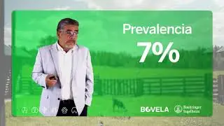 ¿Qué es un animal persistentemente infectado?