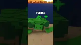 How to get the TURTLE HELMET in 