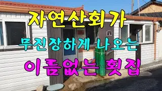 😋🐟자연산회가 무진장하게 나옵니다/Raw fish