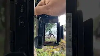 Sony camera  with 50mm 1.8f lens photography test📸 