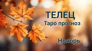 ТЕЛЕЦ 🌈 Таро прогноз🌛Ноябрь 2024