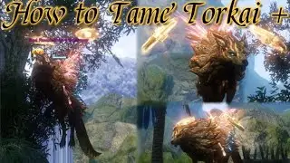 How to Tame Torkai+ (Seal Stats Shown)