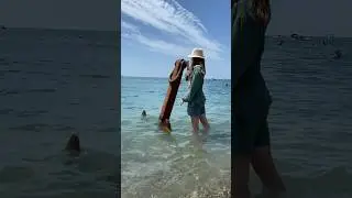 Сначала люди удивляются, почему я возвращаюсь в Геленджик каждый год, а потом видят это😌🌅 #море