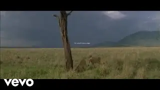Mumford & Sons - Mumford & Sons And National Geographic Present: 42 (Lyric Video)