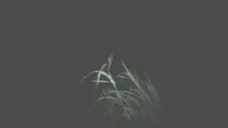 Slow-mo Shot of alien - brightness up. Watch!