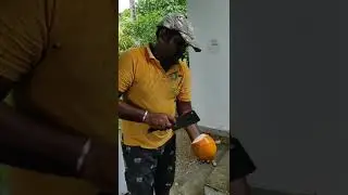 Олин подкаст: ещё один день в Вилигаме :)