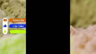 2024 Tiktok bigbank challenge 🍑🔥 Big Body T8_q3BDl6hgTXQ_new #000
