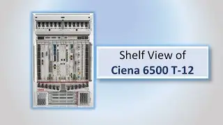 Shelf View of Ciena's 6500 T-Series [T-12 Model]