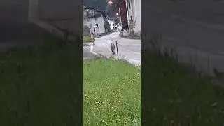 WhatsApp Video 2024 05 07 at 05 50 21