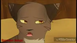 Коты воители Грач