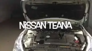 Упор капота на Ниссан Тиана - 2