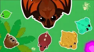 ПРОКАЧКА НА РАЗНЫХ ЭВОЛЮЦИЯХ MOPE.IO