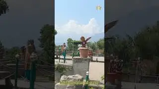 mughal garden sri nagar || h.p king01