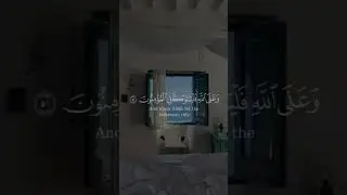Heart Touching Quran Recitation | #رعد الكردي# |  #RaadAlKurdi