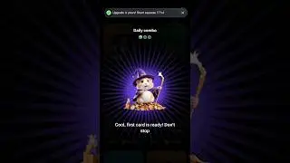 HAMSTER KOMBAT DAILY COMBO FOR 5MILIION COINS #hamsterkombat  #crypto #combo