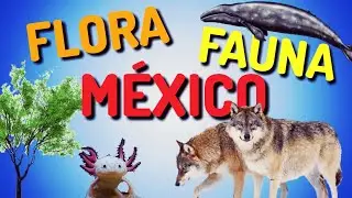 The FLORA and FAUNA of MEXICO