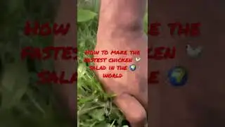 HOW TO Make the WORLD’S FASTEST CHICKEN SALAD. #chickens