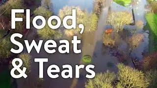 Flood, Sweat & Tears