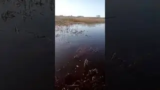 13 мая 2024 г.