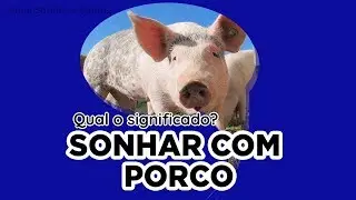 Sonhar com Porco | Qual o Significado de Sonhar com Porco?