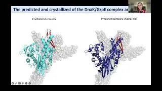 2023-03-14 ICMRBS ECR Webinar: Rossi